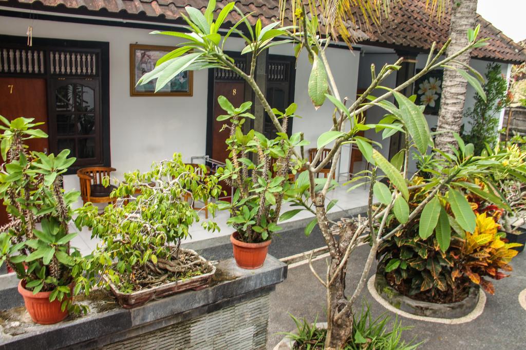 Nyoman Guesthouse Canggu Dış mekan fotoğraf